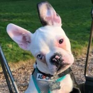 Meet your Posher, Ericka